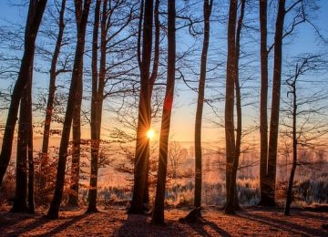 האור שבחיינו